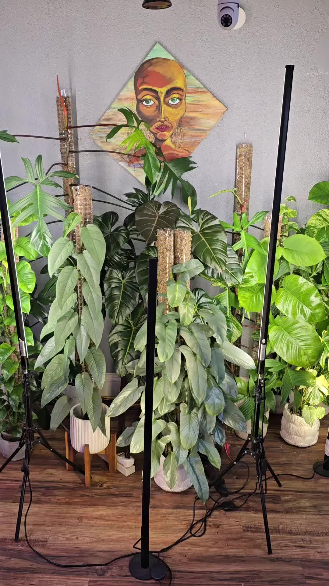 @JT - BigEGOPlants