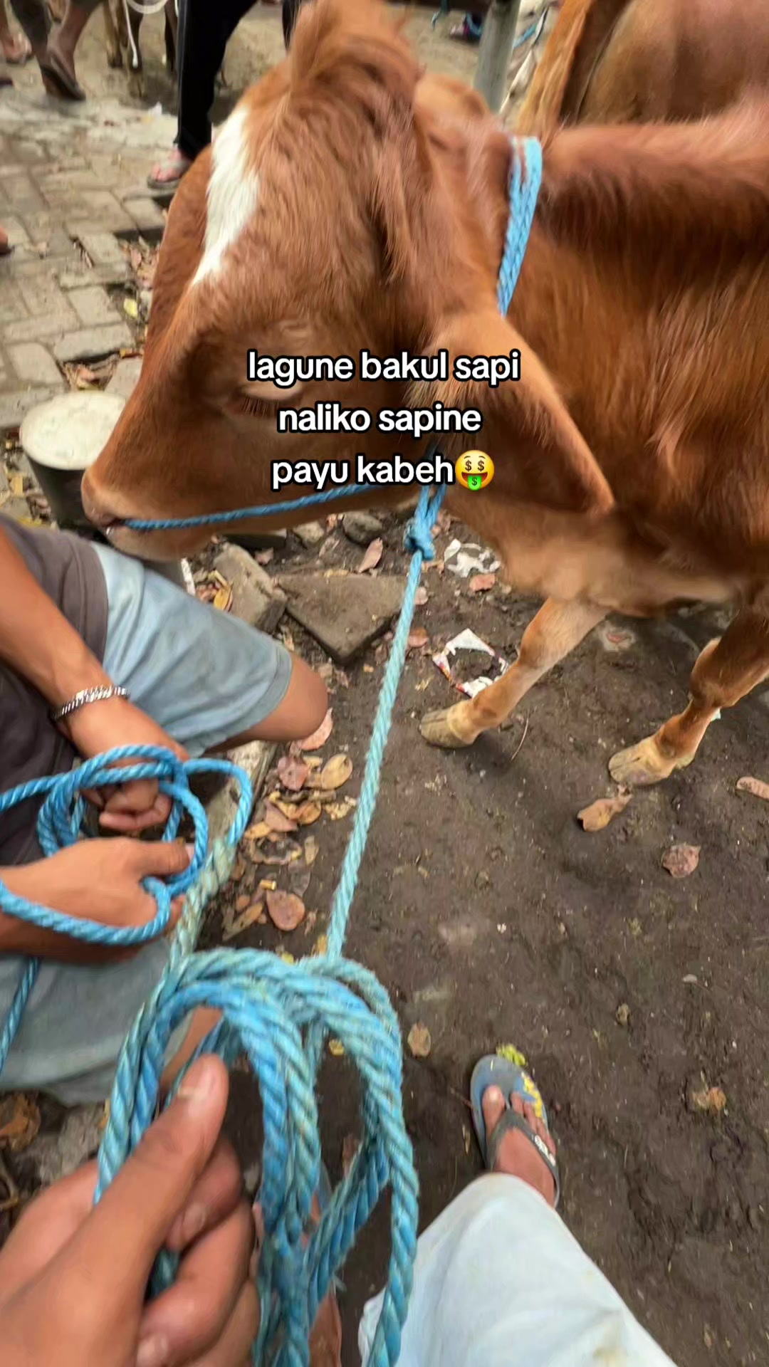 @SARJANA LEMBU☆