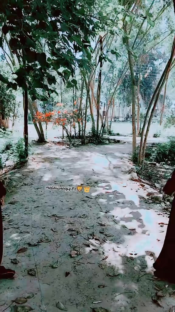 @Urooj482