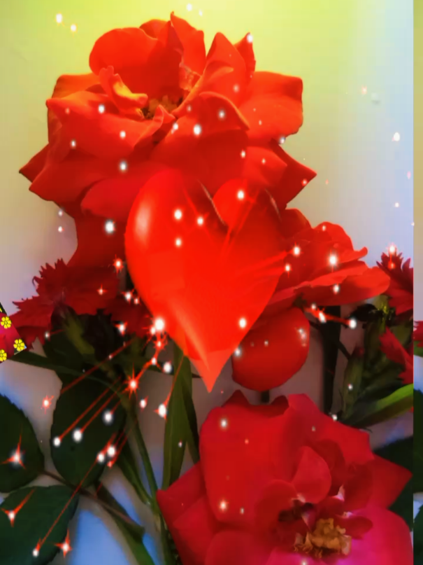 @Nico Fernandes 88