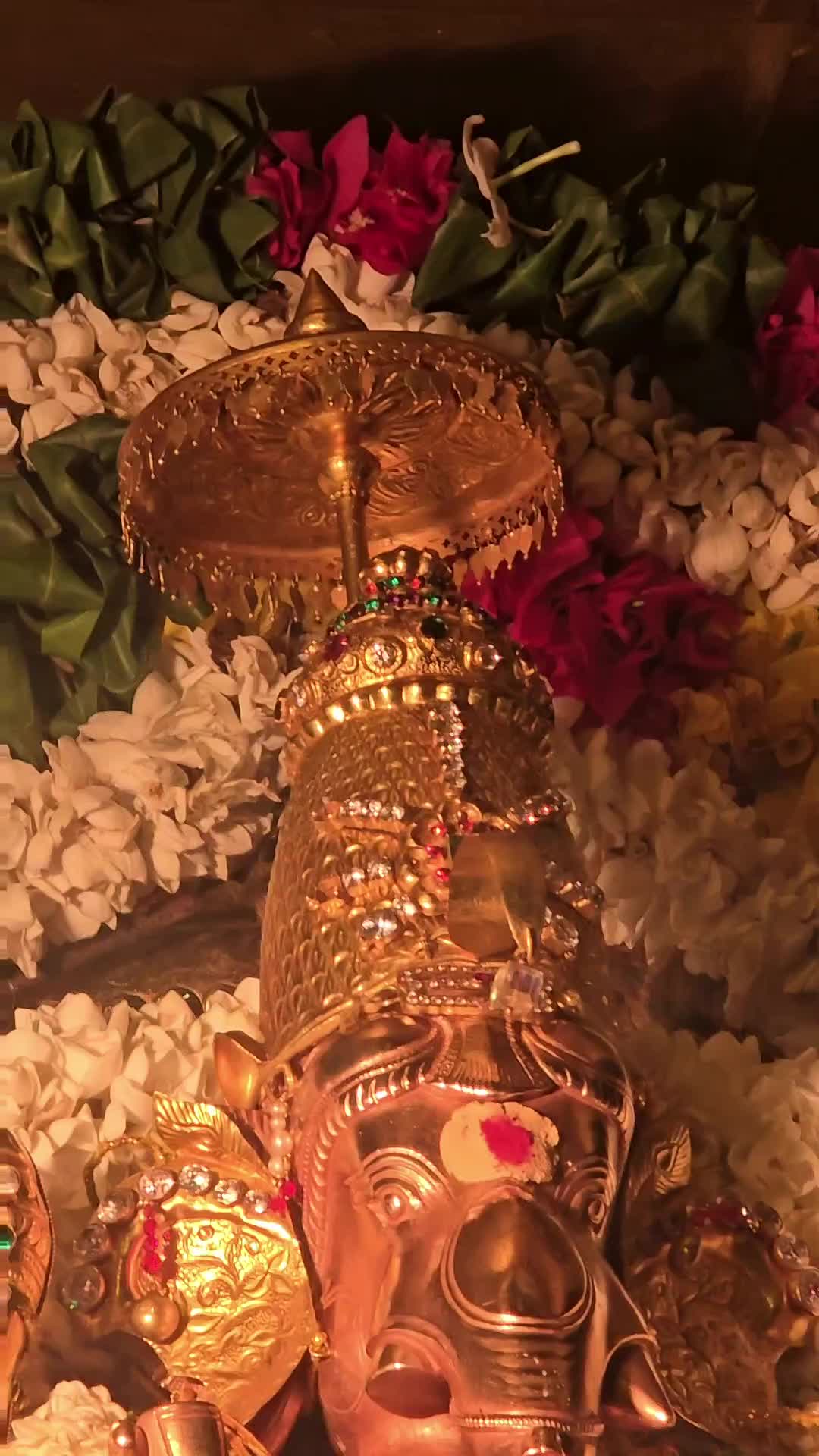 @Bavanujan🤵🏻♂️
