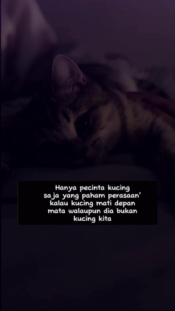 @๐α๐พโ๐พ