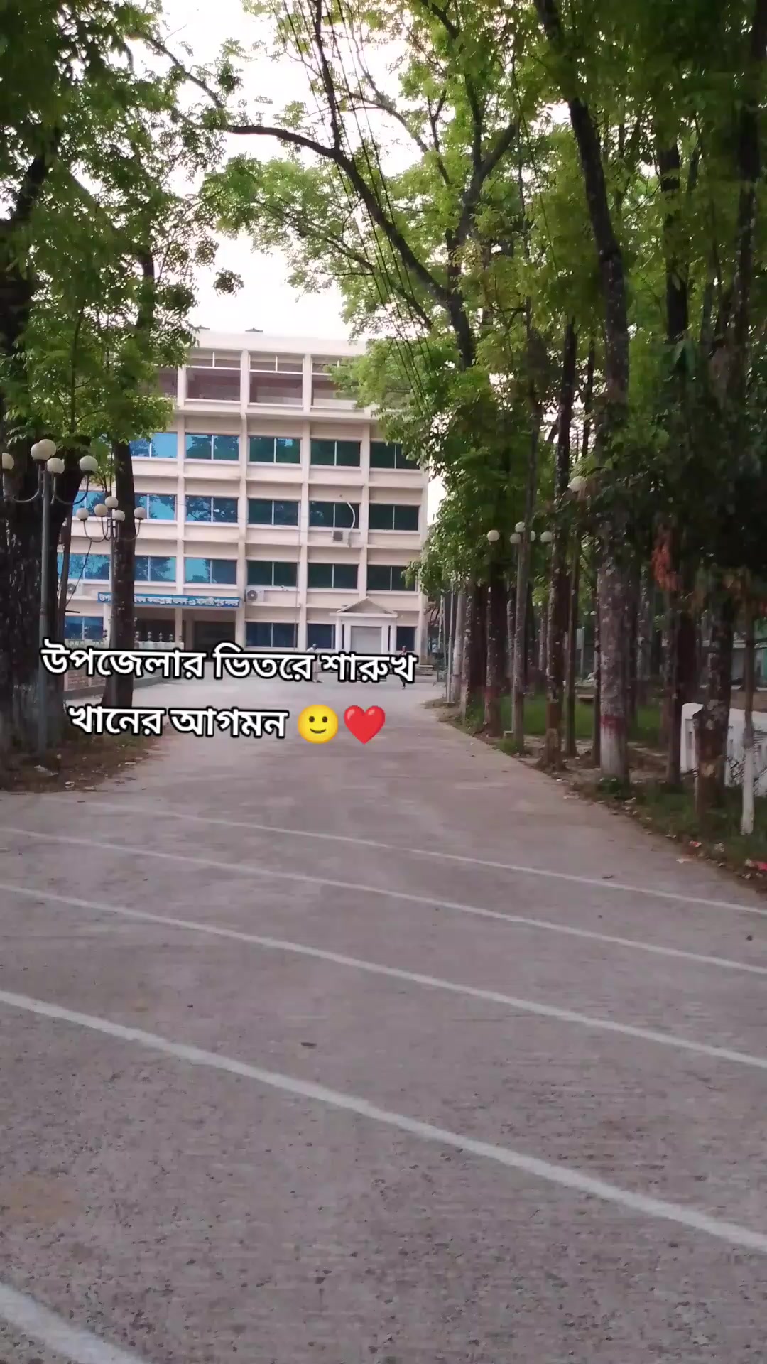 @đ¸Quineđ¸