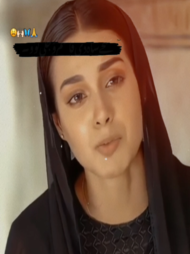@Saeed Shah ❤