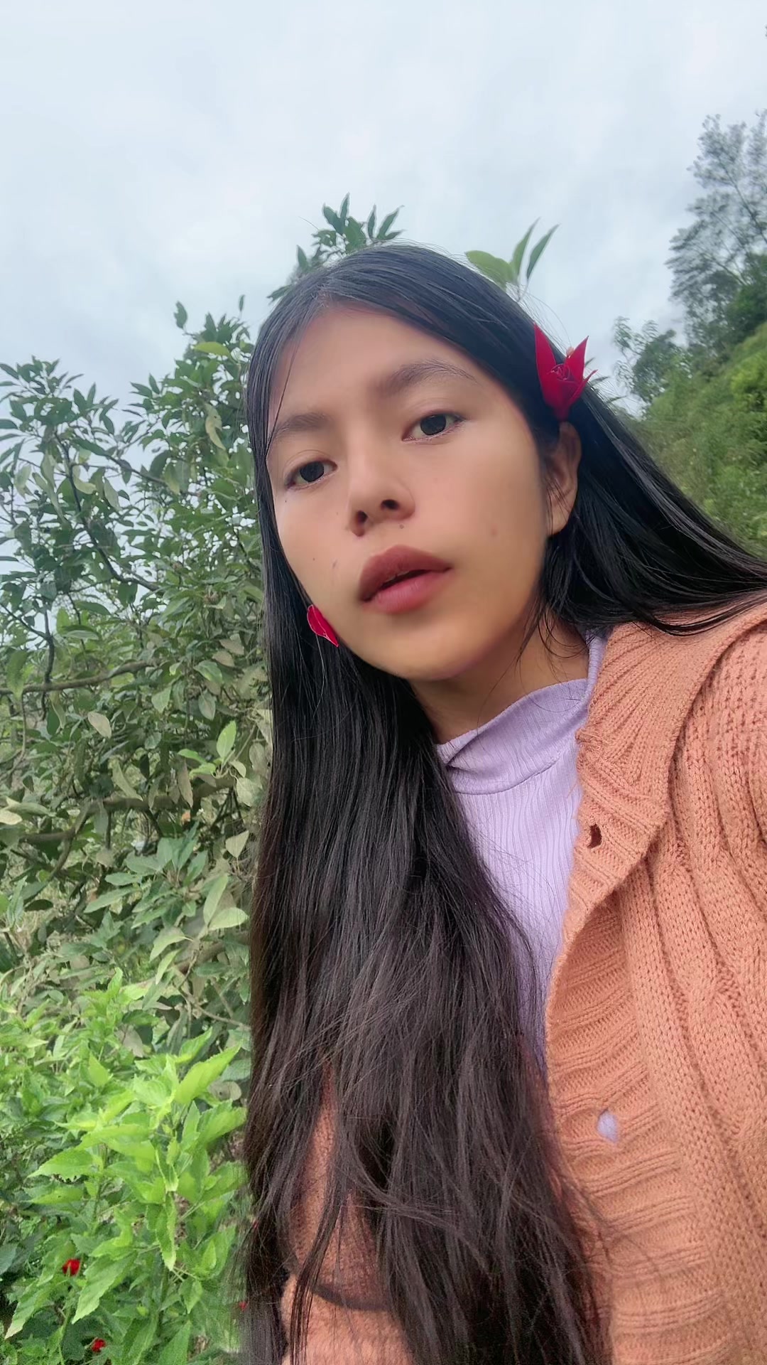 @🦊☀️ Luya Sol ☀️