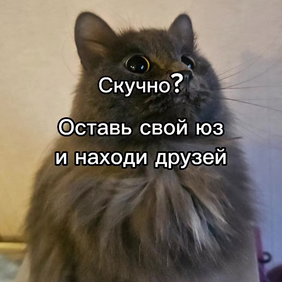 @mivrac