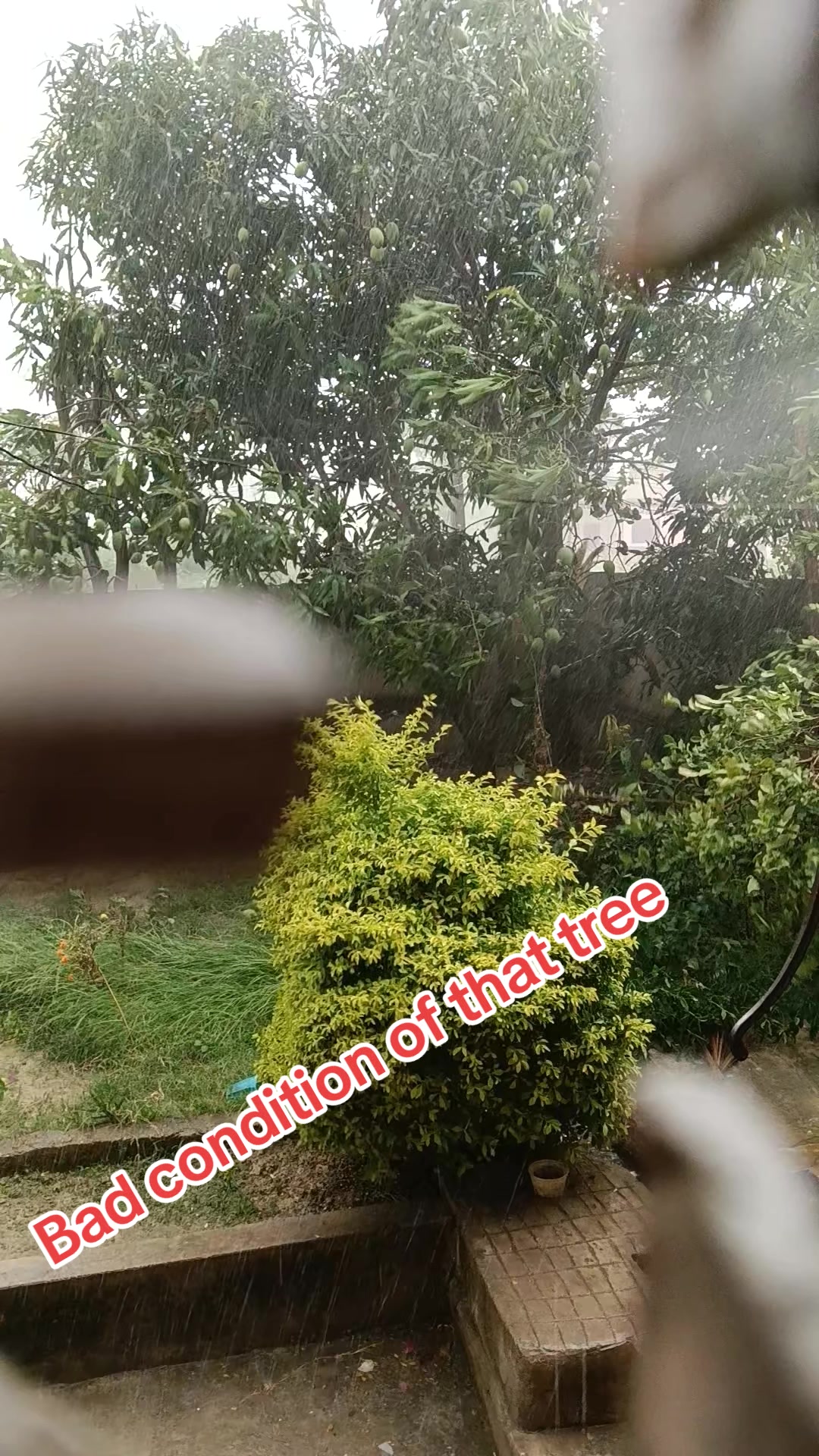 @pro Bidesh kumar sahani