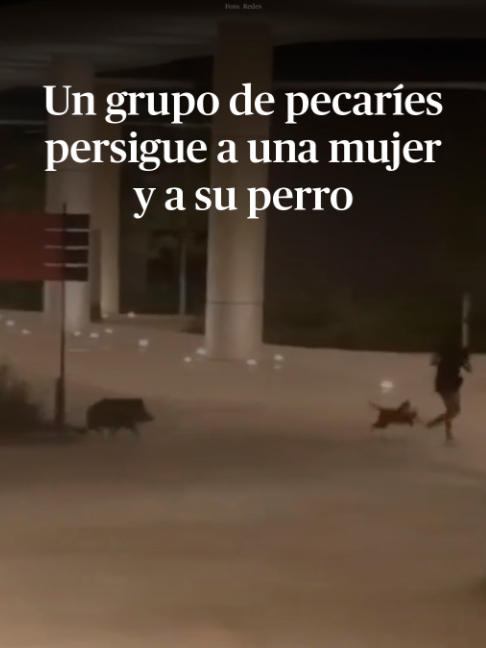 @DiariodeMéxico