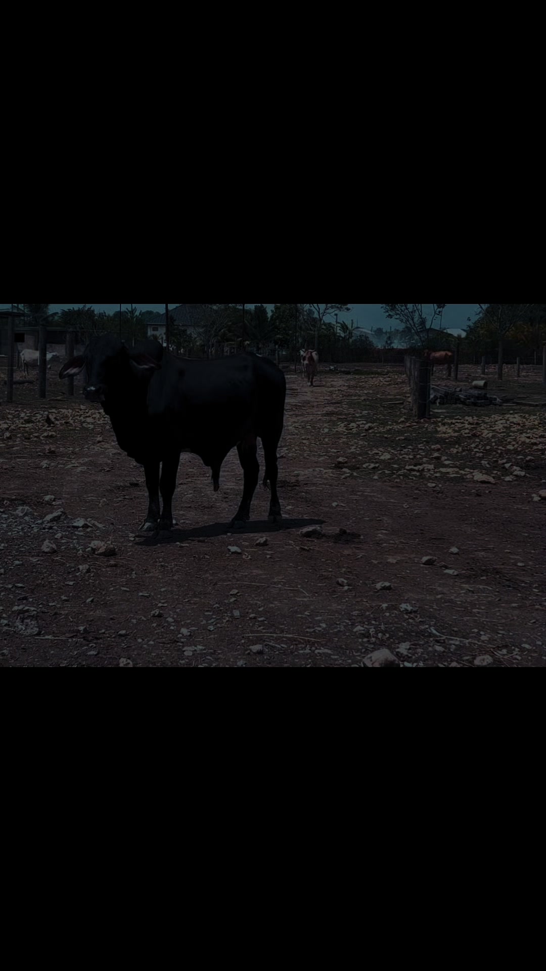 @Sunshine Acres Homestead