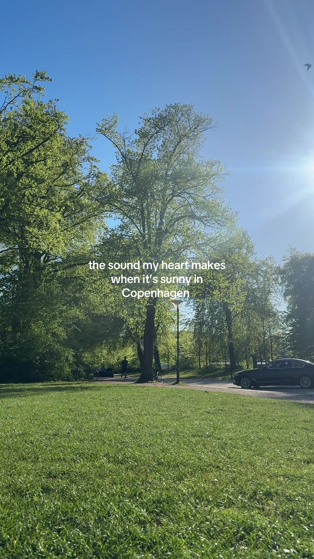 @MARIÁH 🇧🇷 in 🇩🇰