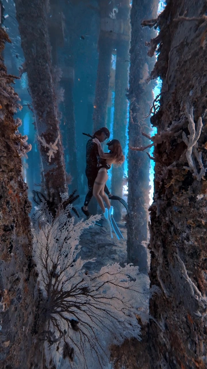 @@voltamazingfreediver