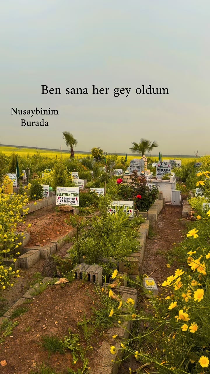 @Nusaybin Burada 📍