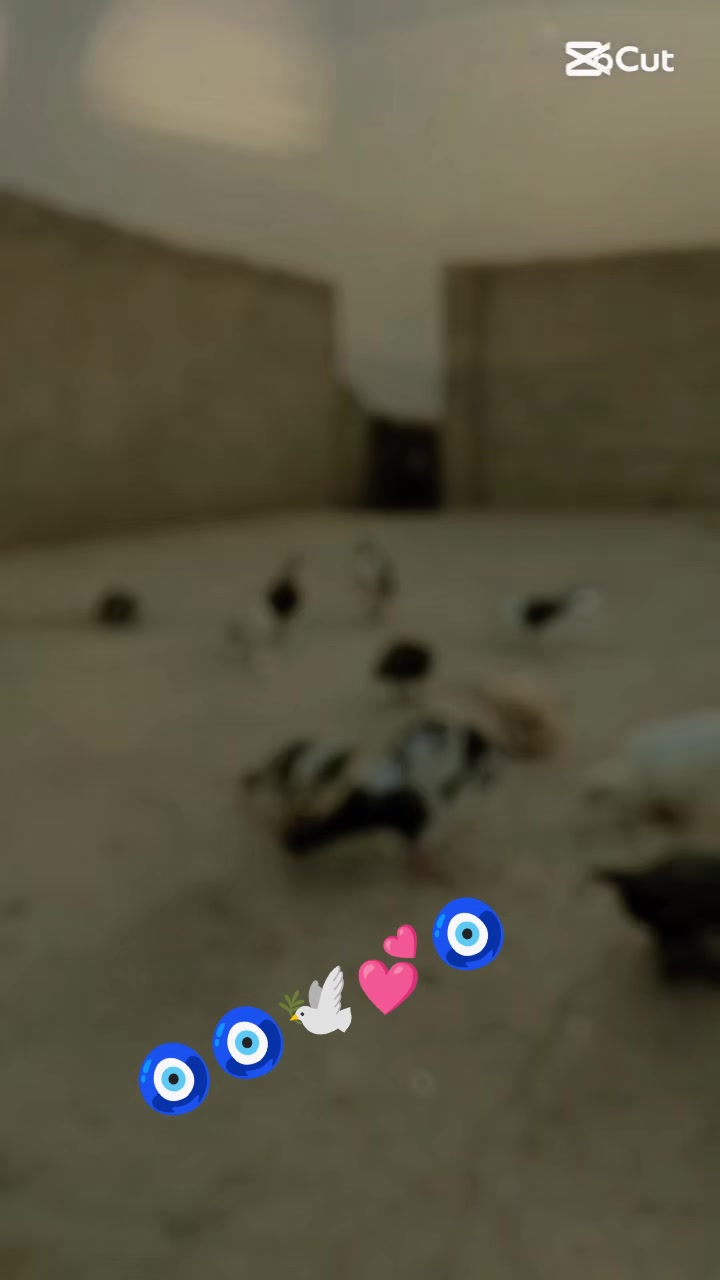 @⚜️Asif Ali⚜️🥷☠️