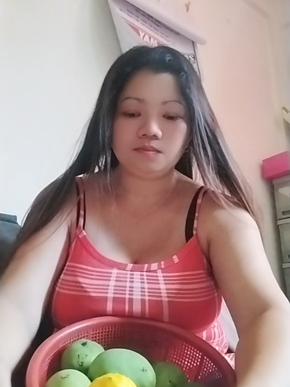 @MajoyCanicula