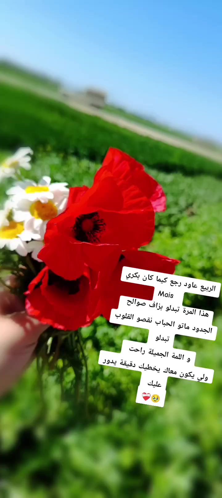 @A&auml;ll&auml; Rahman
