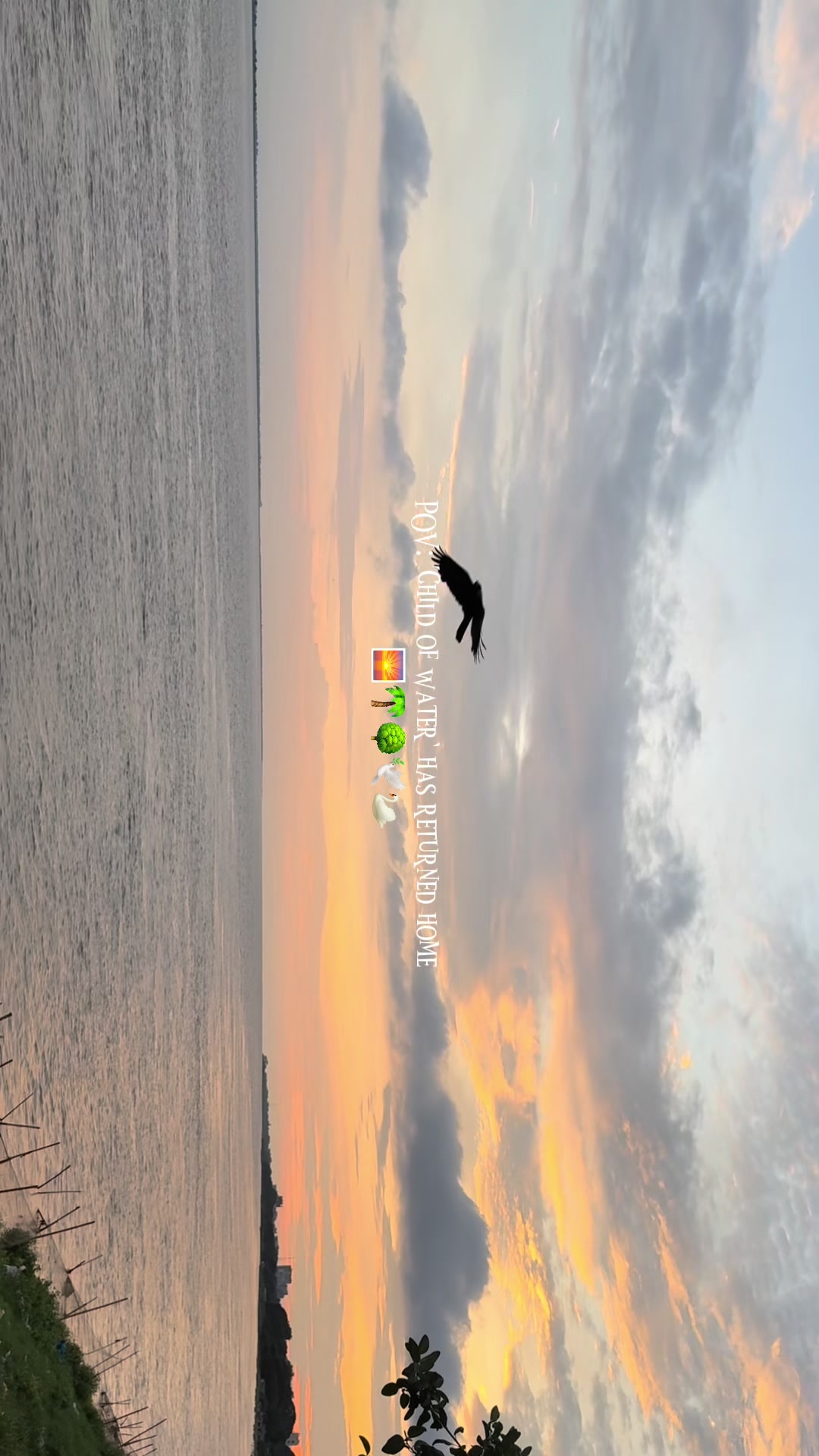 @Mim🕊️
