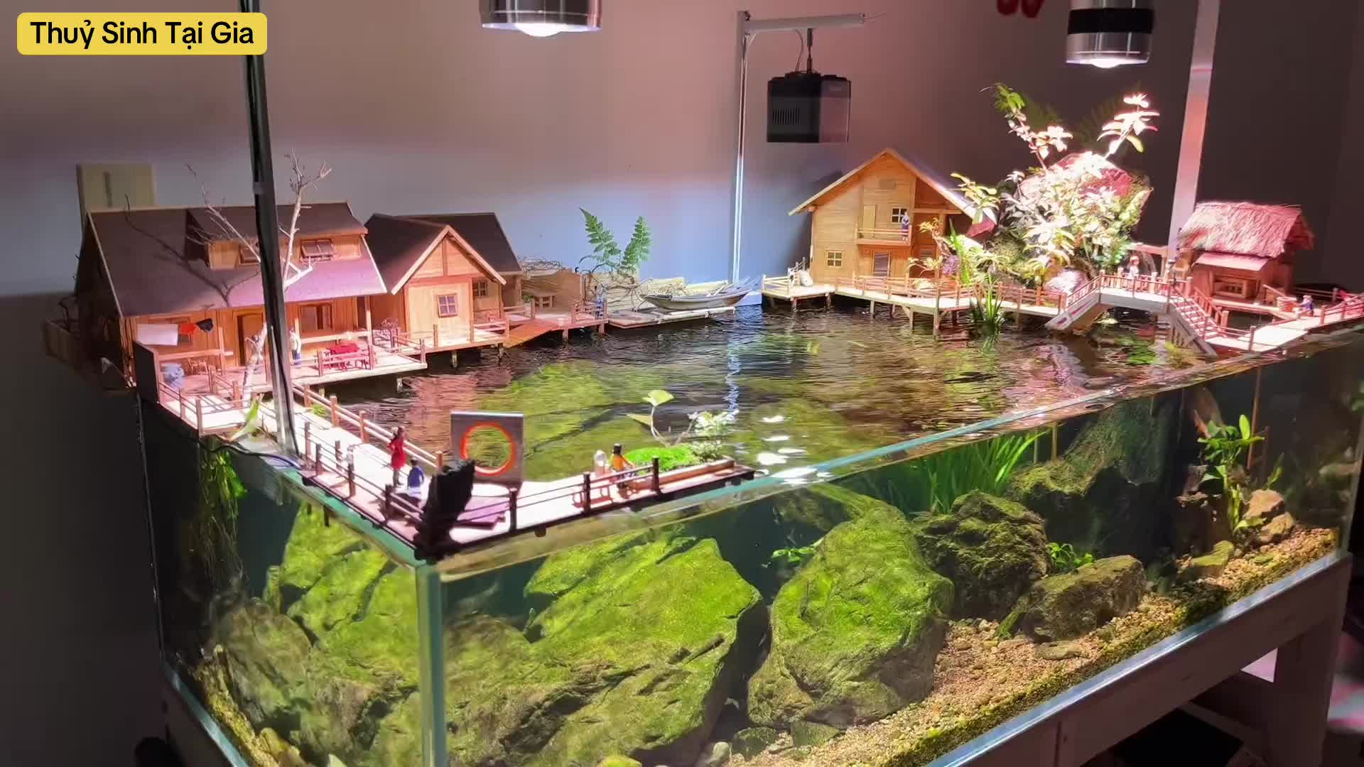 @Tiểu Cảnh Tại Gia