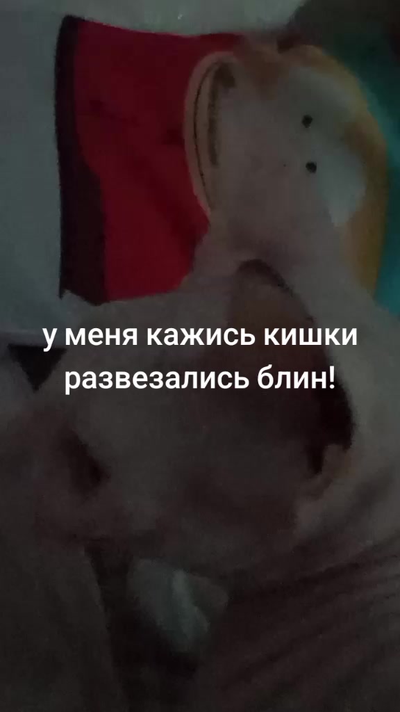 @кабан кузя