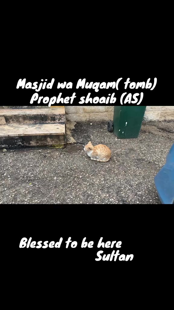 @Sultan
