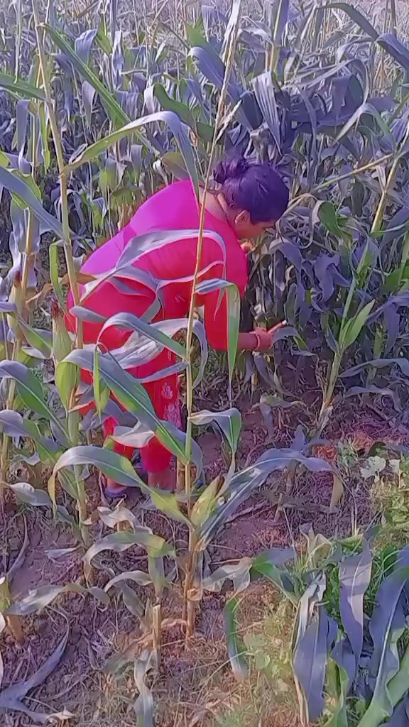 @janakiparajuli667