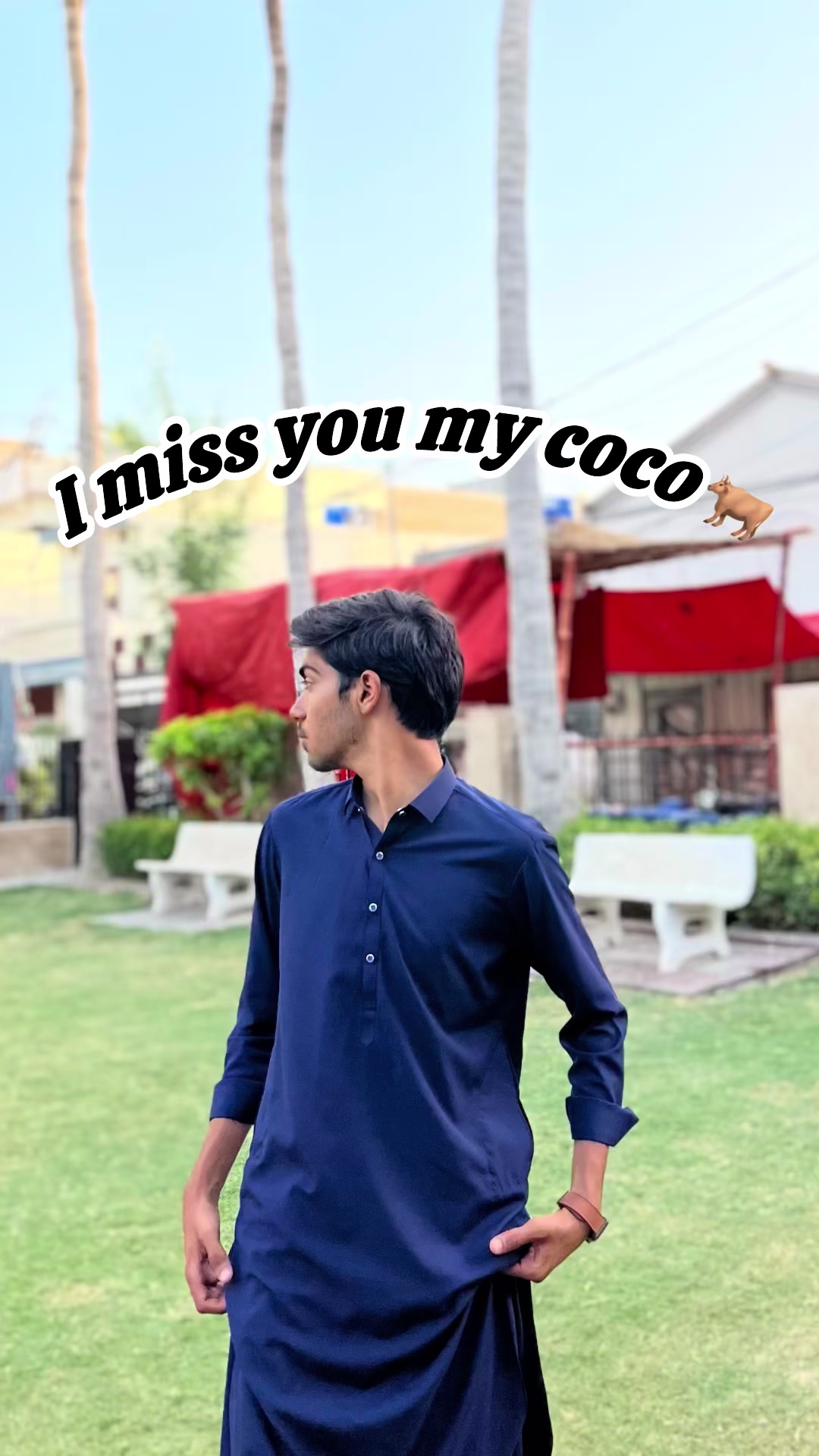 @Ahad dream