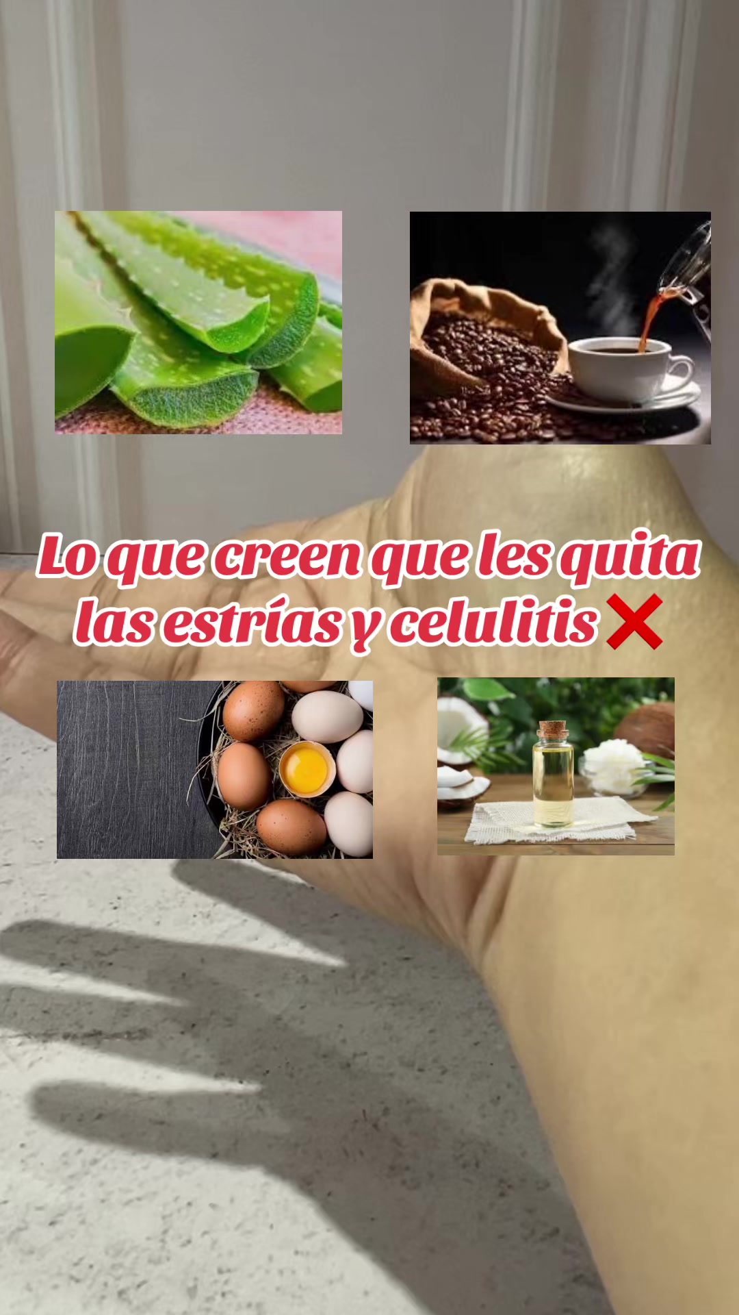 @YushopVe