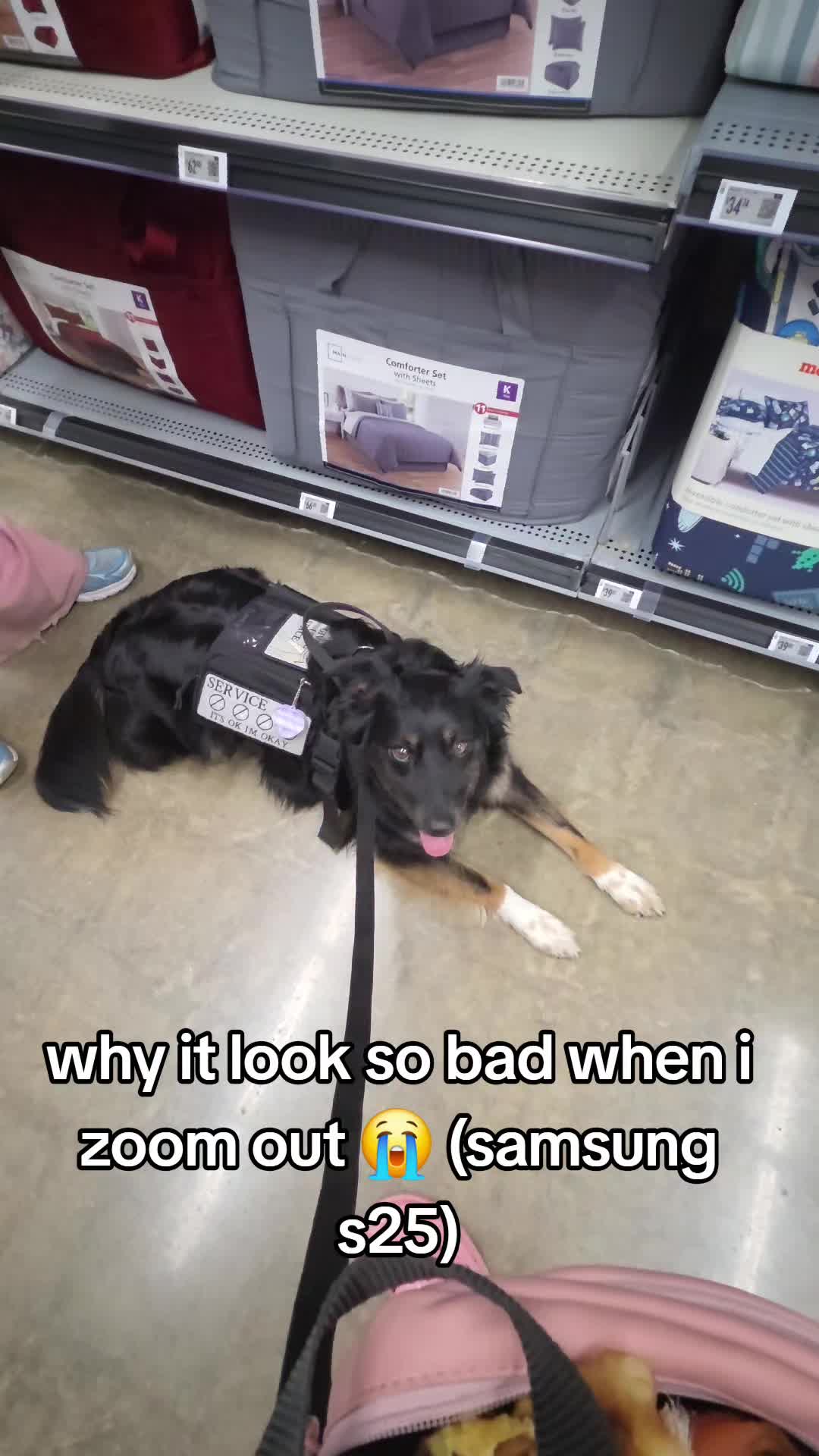 @Nala the Service aussie