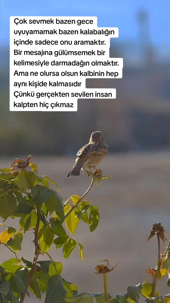 @🤍🖤ÖMER❤️ROSE🖤🤍