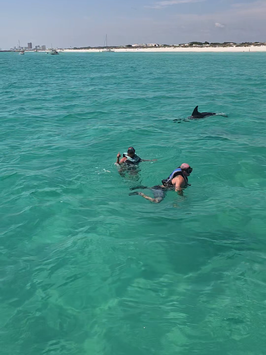 @Shell Island Dolphin Tours 🐬