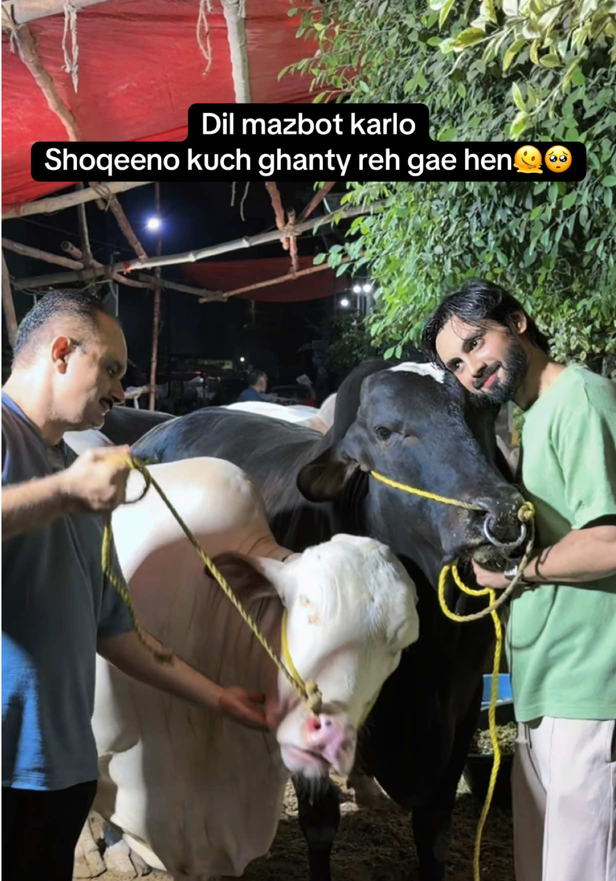 @mujtaba Lakhani