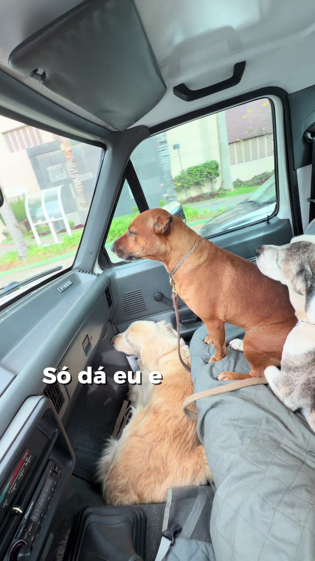@_brunolemes