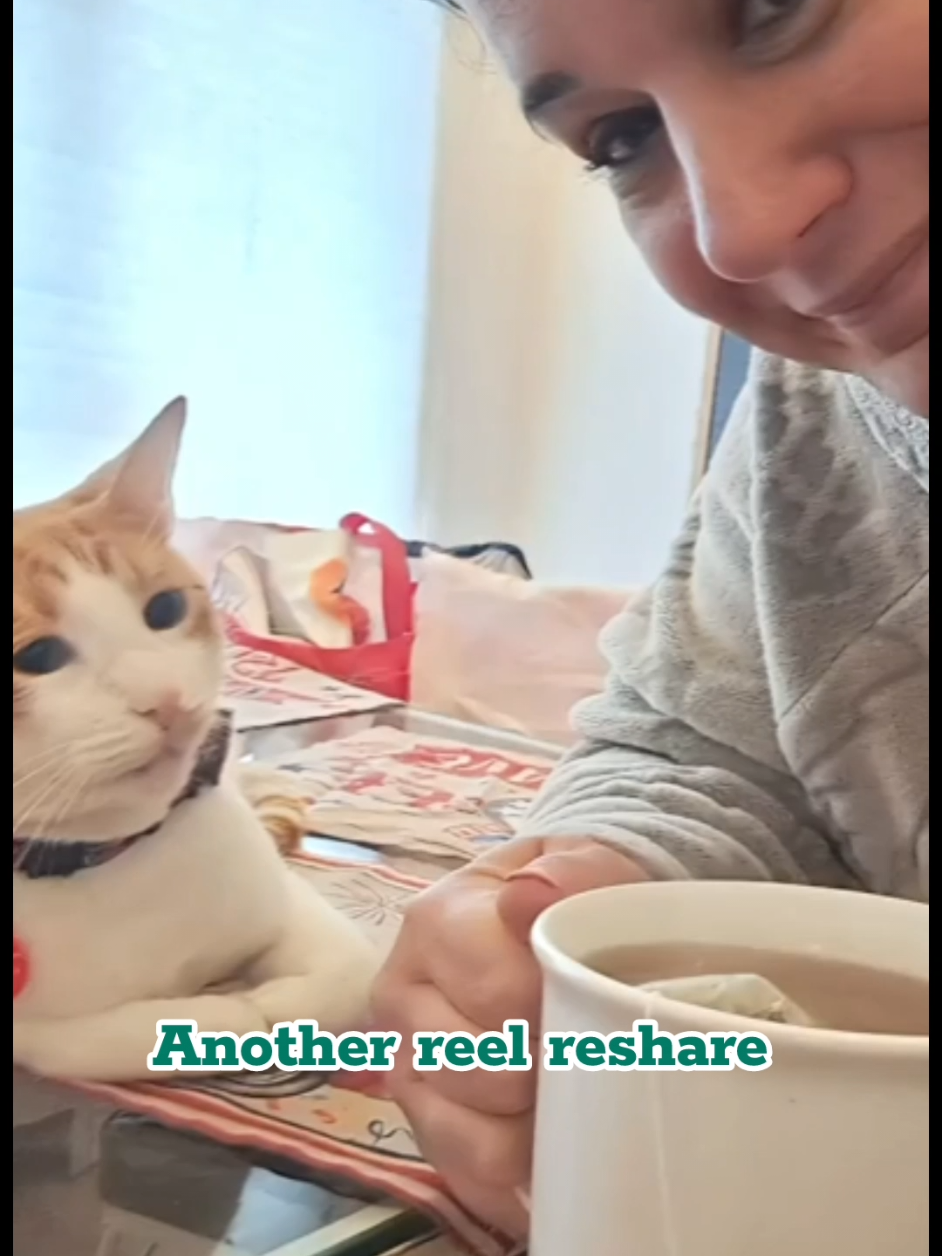 @Candice & Weasley