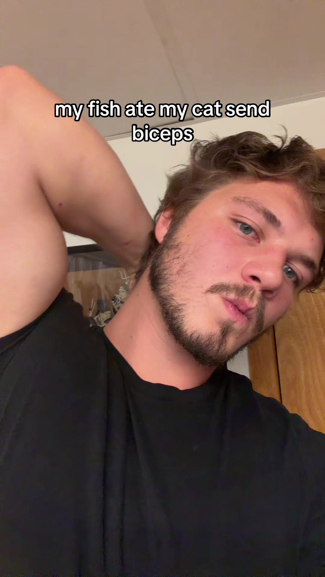 @Aesthetik king
