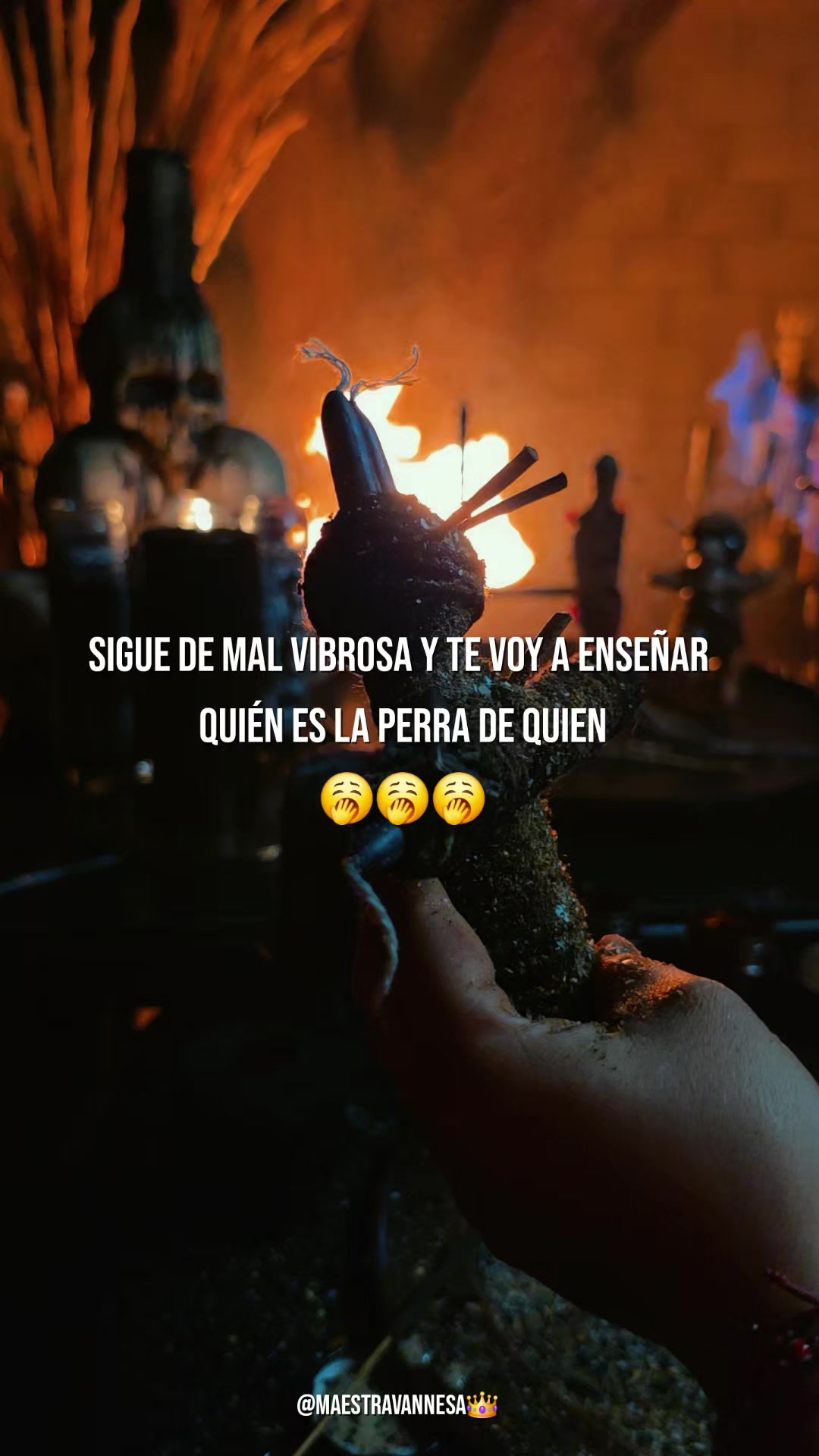 @Maestra Vannesa 👑
