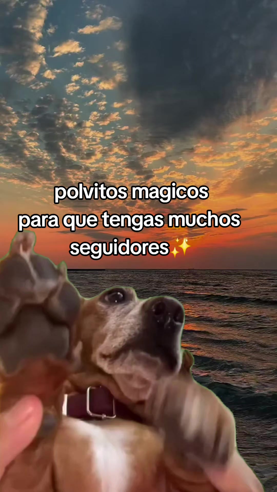 @️