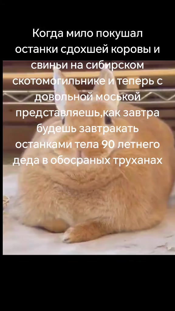 @ZalypacheZ_