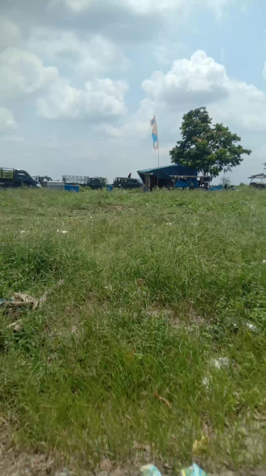 @adi