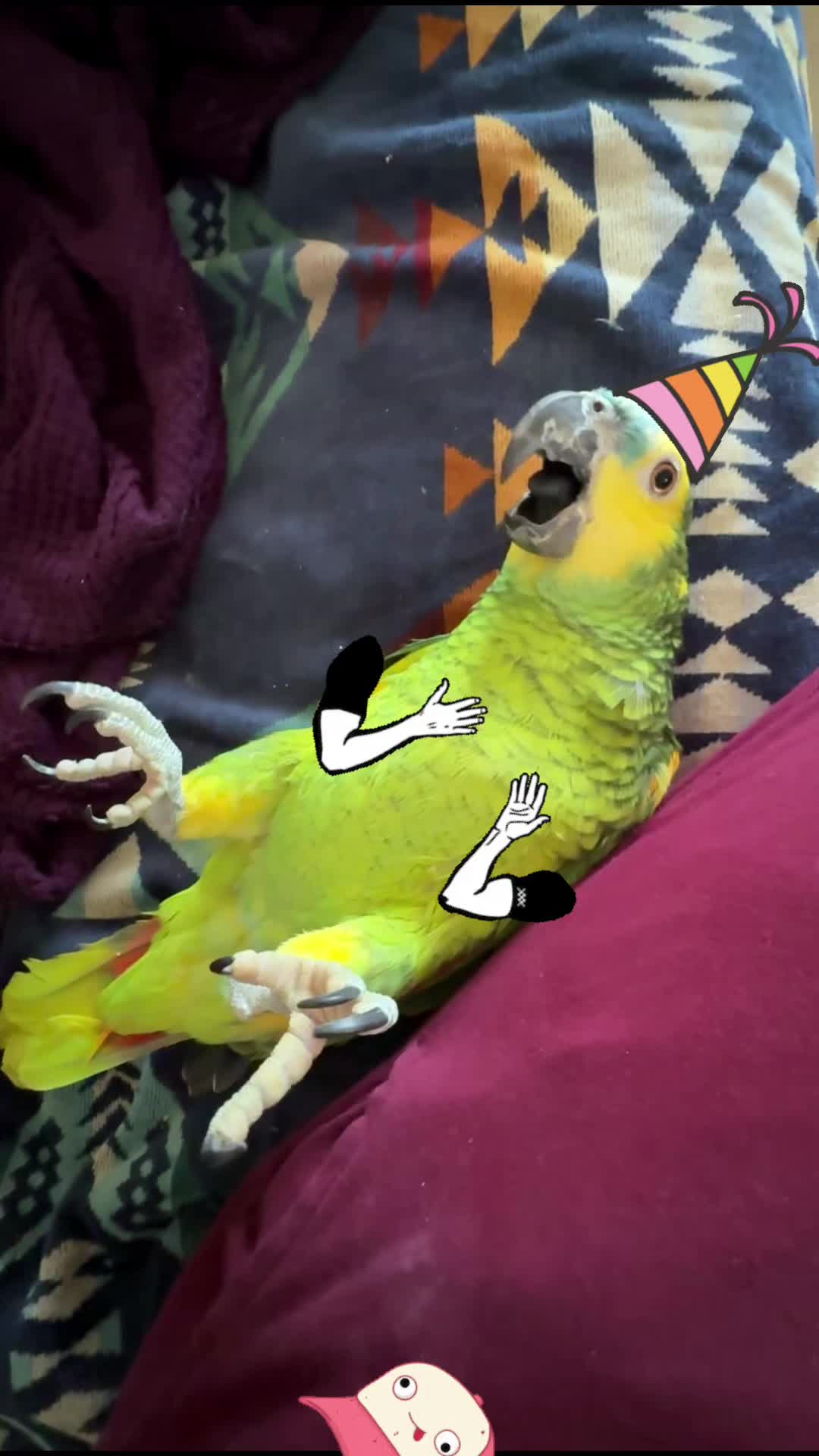 @imforthebirds