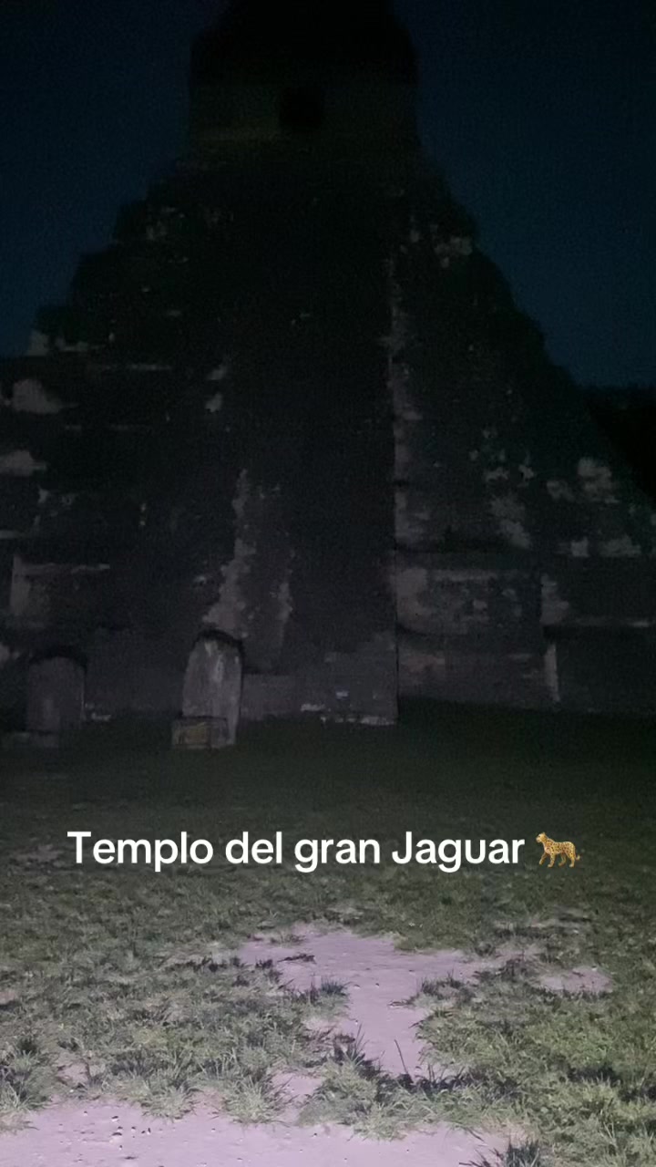 @Tony Tour&rsquo;s Pet&eacute;n_Guia_Local