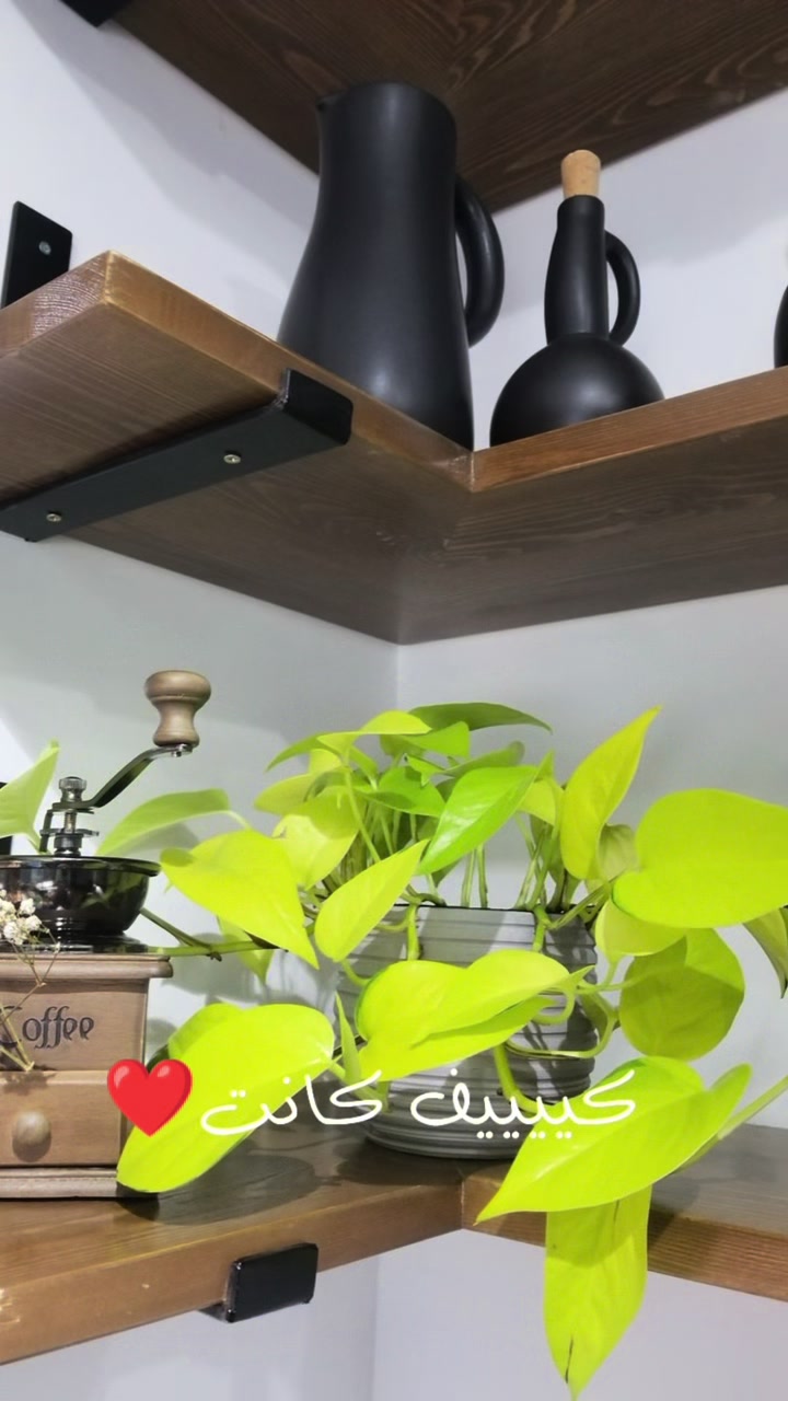 @🌱🪴 رانيا بوبكر 🪴🌱