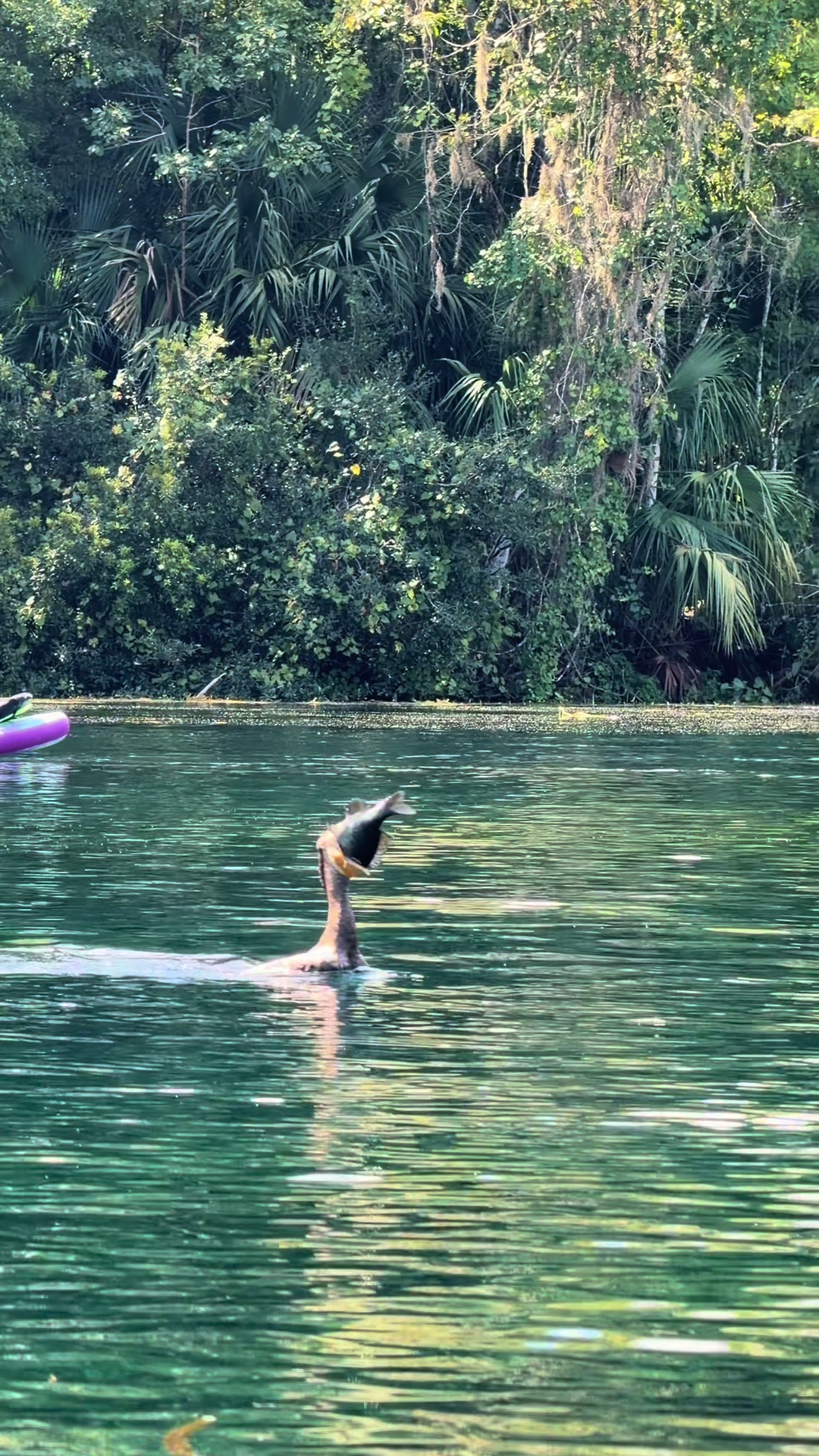 @Wet Rabbit Kayaks