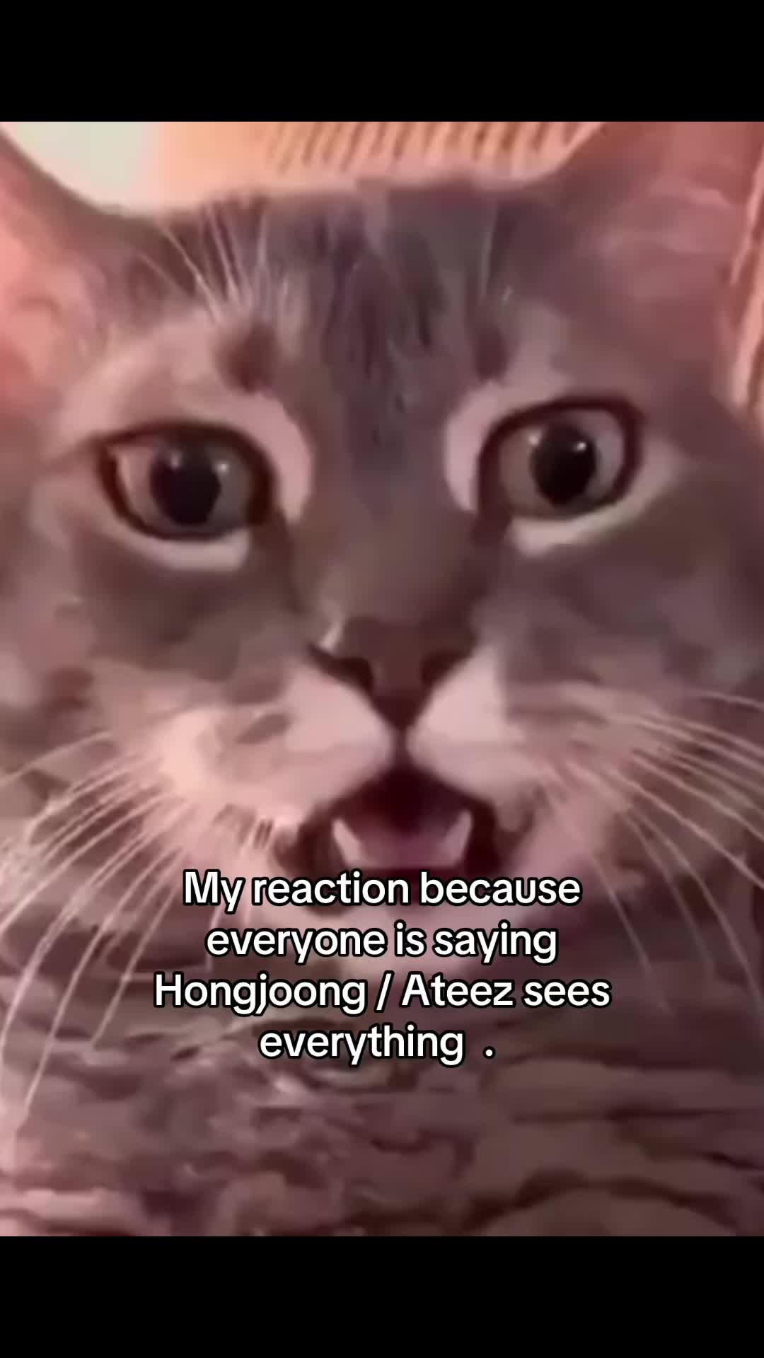 @mingiskitty