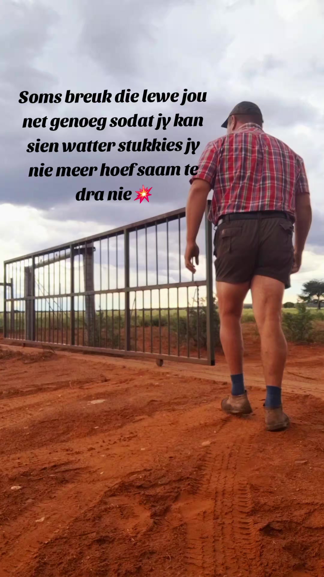 @Bees Strydom