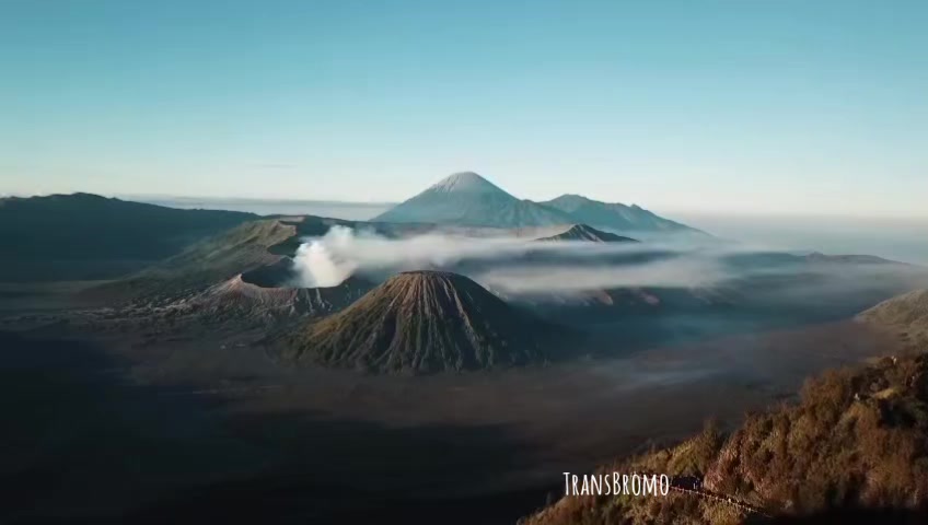 @transbromo