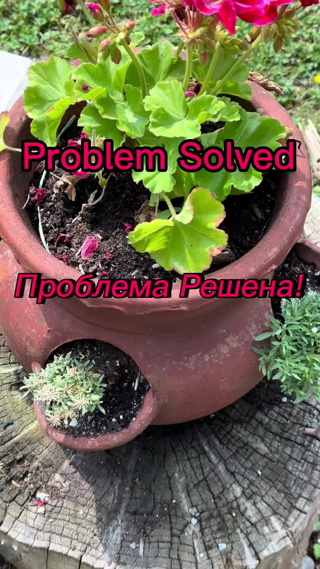 @Igor Stetsyuk
