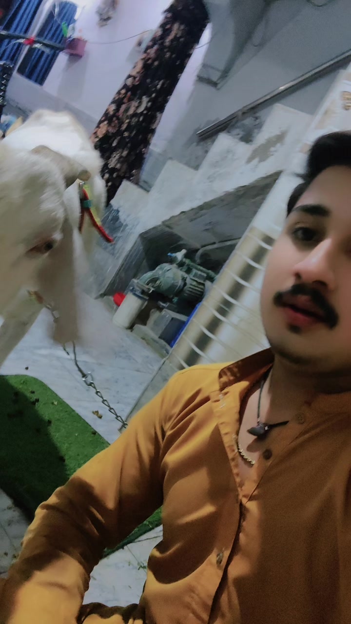@Stylish DoGaR 💕