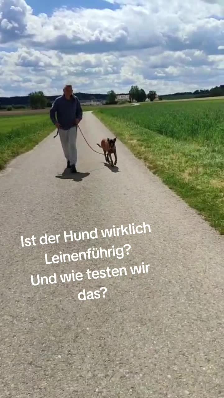 @Malinoirist Bootcamp