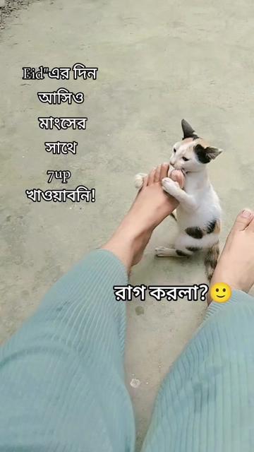 @🖤ROTNA pramanik🎀