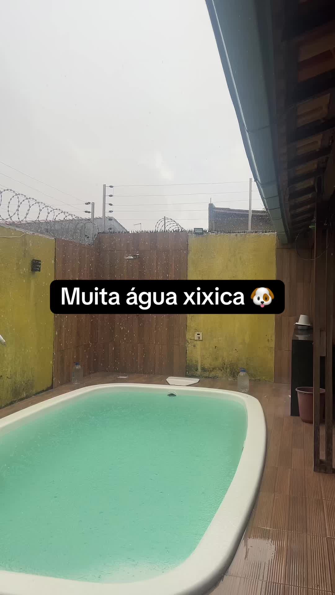 @Caio Bruno
