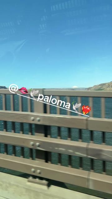 @Chaparrita79&hearts;️&hearts;️